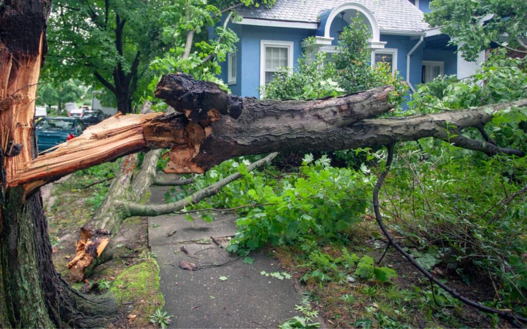 Effective Water Extraction Methods After Storms