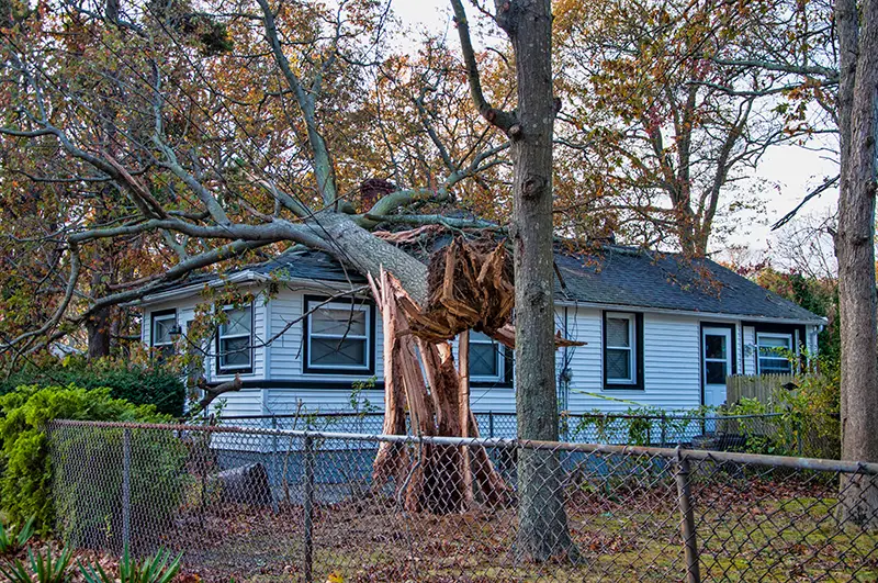 Storm damage repair services